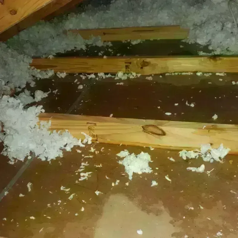 Attic Water Damage in Hollister, CA