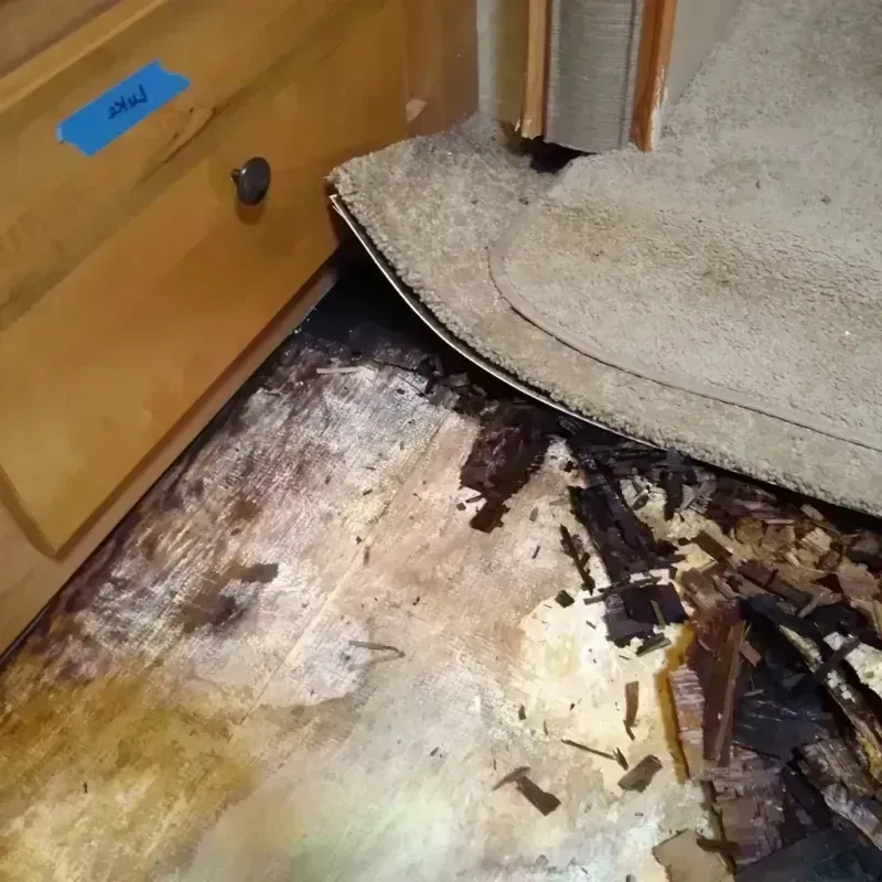 Wood Floor Water Damage in Hollister, CA